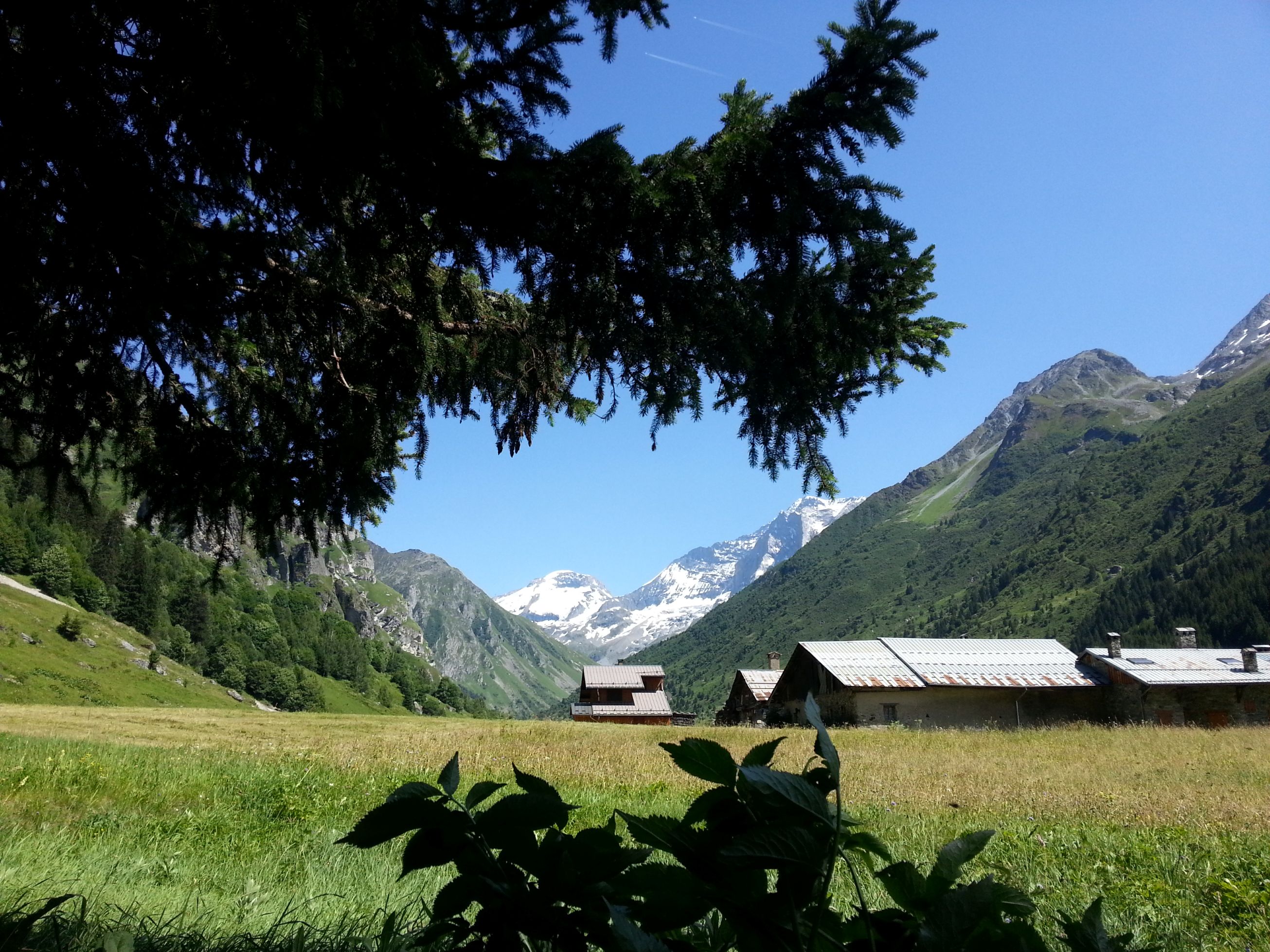 Hameau du Bois
